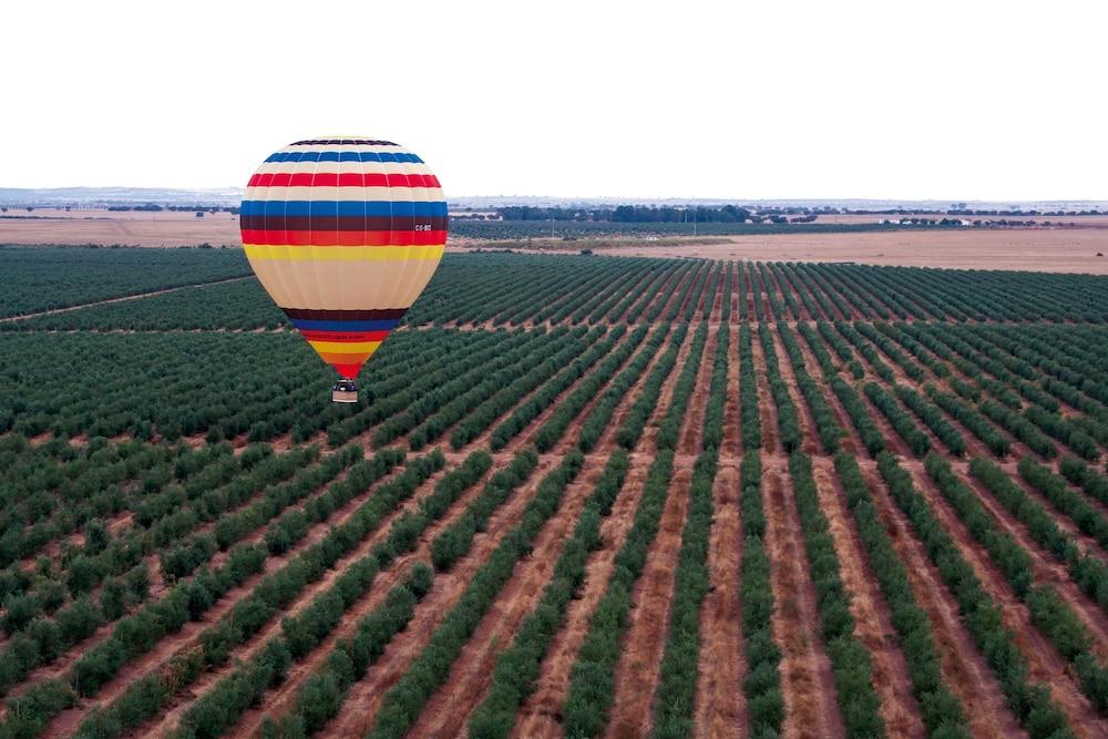 Hotel Vila Gale Alentejo Vineyard - Clube De Campo Albernoa Exteriér fotografie