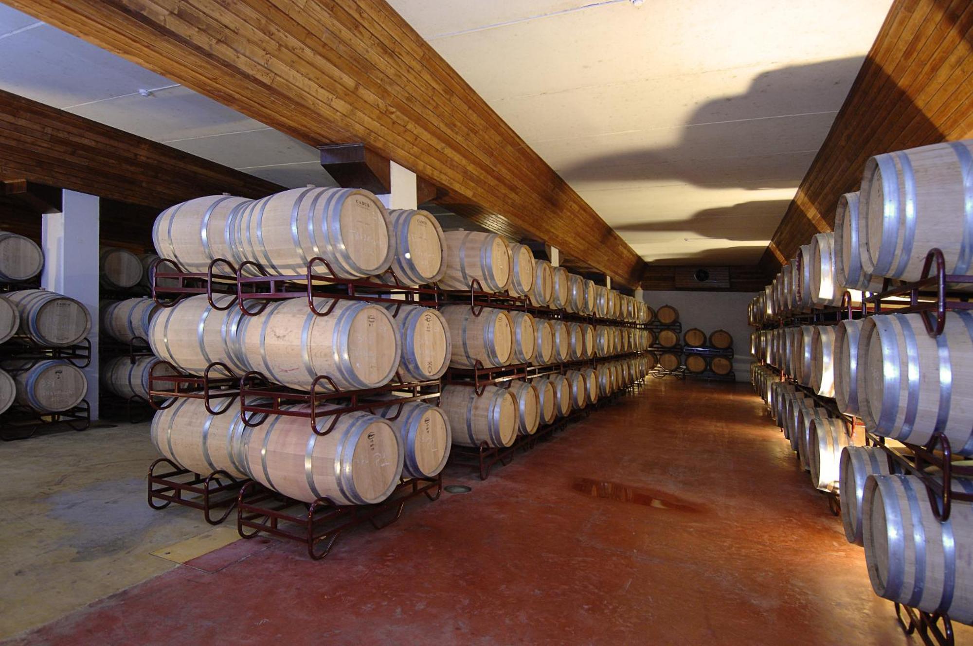 Vila Gale Alentejo Vineyard - Clube De Campo Albernoa Exteriér fotografie