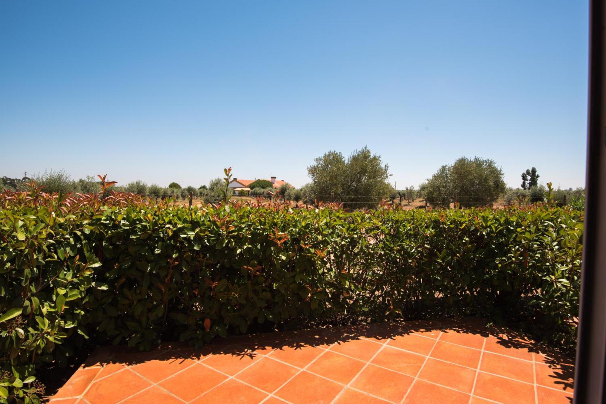 Vila Gale Alentejo Vineyard - Clube De Campo Albernoa Exteriér fotografie