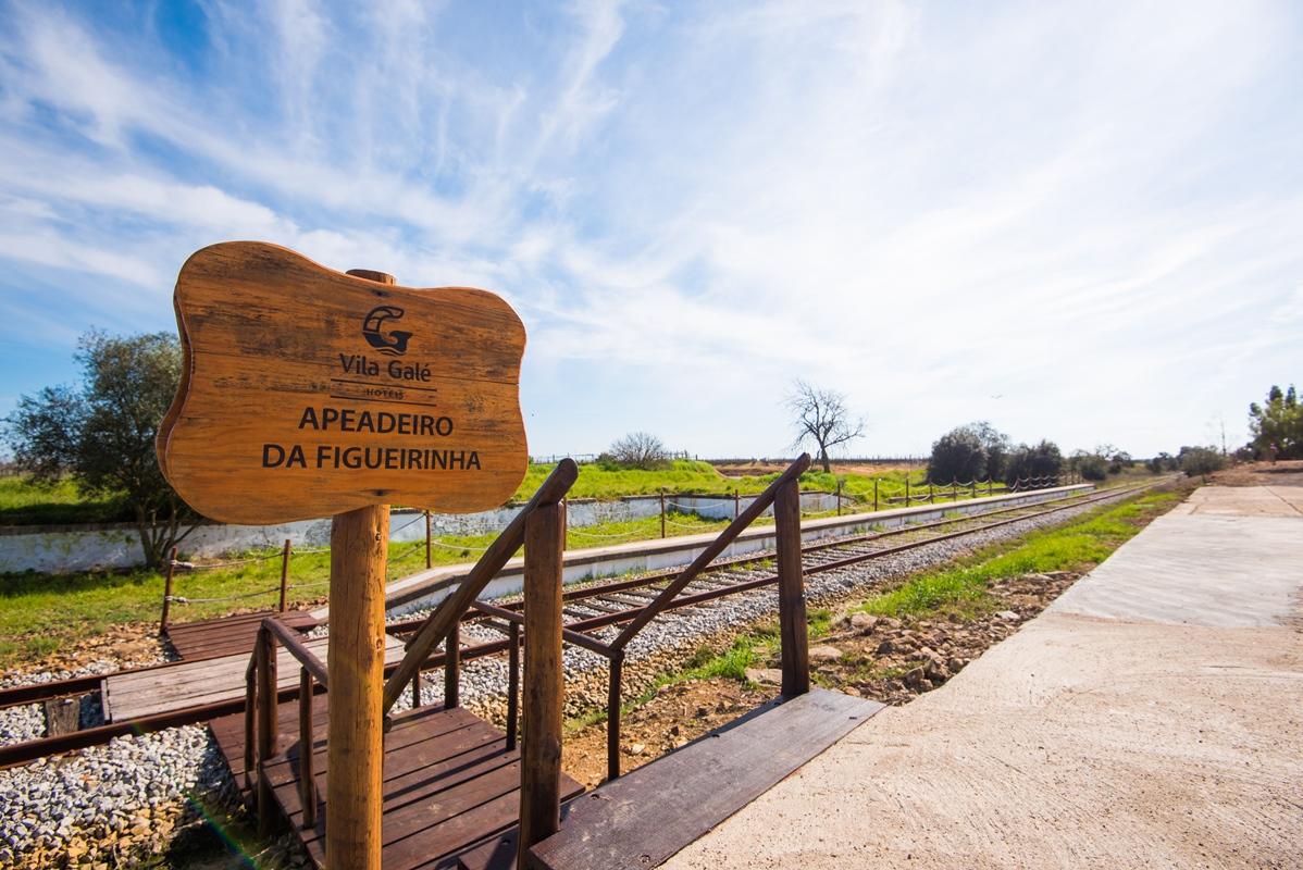 Vila Gale Alentejo Vineyard - Clube De Campo Albernoa Exteriér fotografie