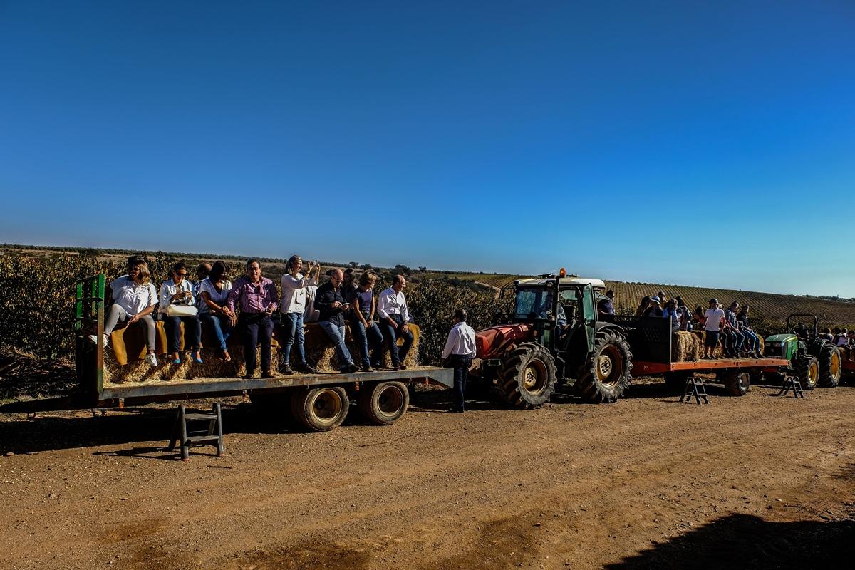 Vila Gale Alentejo Vineyard - Clube De Campo Albernoa Exteriér fotografie