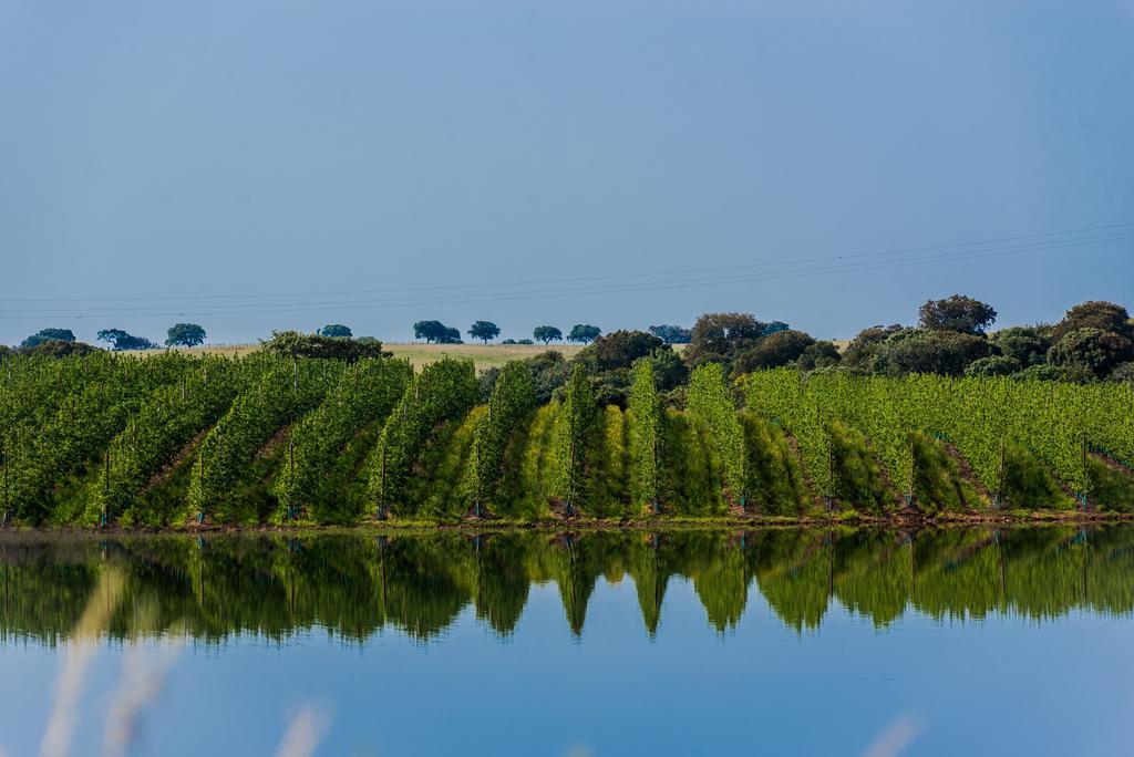 Vila Gale Alentejo Vineyard - Clube De Campo Albernoa Exteriér fotografie