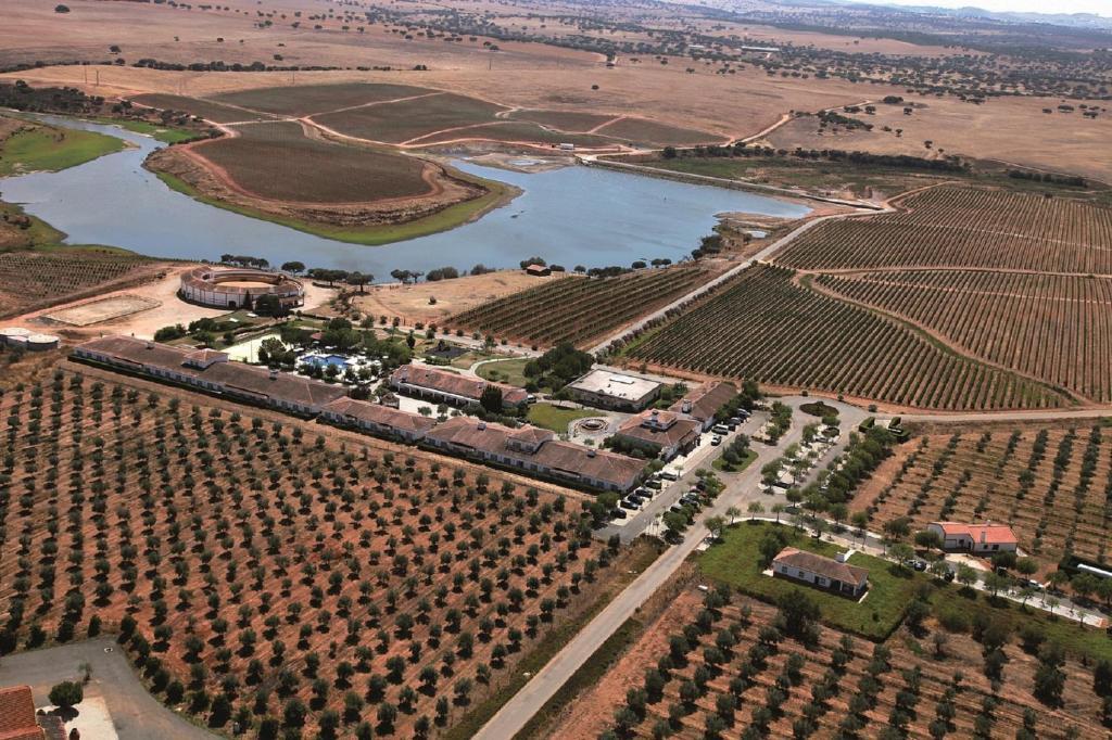 Vila Gale Alentejo Vineyard - Clube De Campo Albernoa Exteriér fotografie